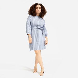 Everlane Blue Striped Collar-less shirtdress